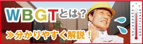 
このページではWBGTとは何？にまつわる様々な疑問に、わかりやすく簡単にお答えしています。
また後半では、WBGTを測れる実際の計測器についてもご紹介しています。