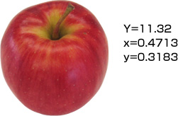リンゴの表面を測っちゃいました。