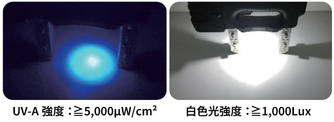 UA-A 強度:≧5,000μW/cm2,白色光強度:≧1,000Lux