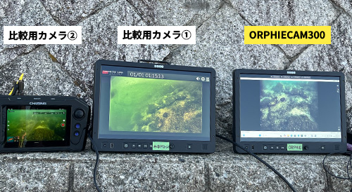 レックスデモ写真_比較写真